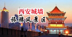 啊啊啊不要再插了操逼黄色视频观看中国陕西-西安城墙旅游风景区